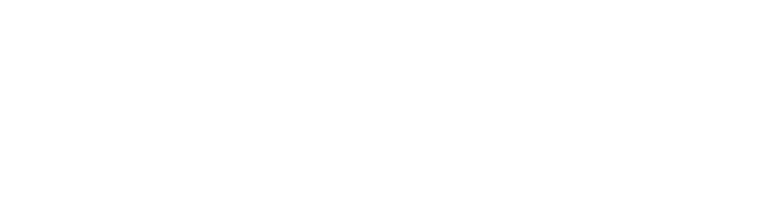German Car Specialists
